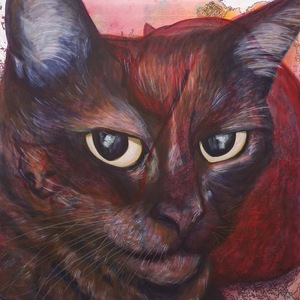 Fundraising Page: Anne Hart